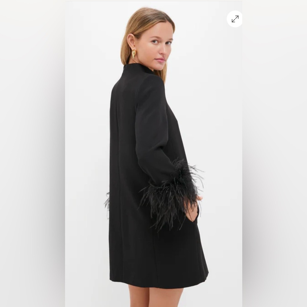 NWT Tuckernuck Black Feather Mod Ellie Dress , Large - Picture 5 of 13
